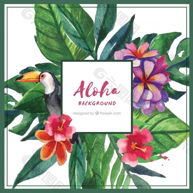 水彩畫的ALOHA背景巨嘴鳥