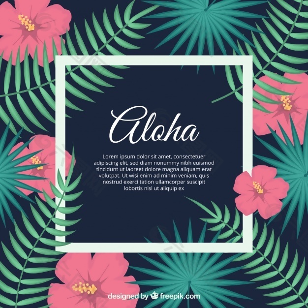 現(xiàn)代的ALOHA背景