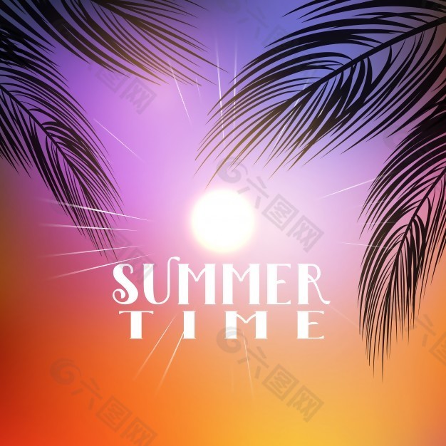 夏季主題背景棕櫚樹的樹枝