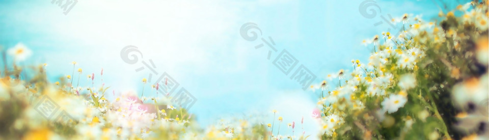 夢(mèng)幻小清新花朵背景