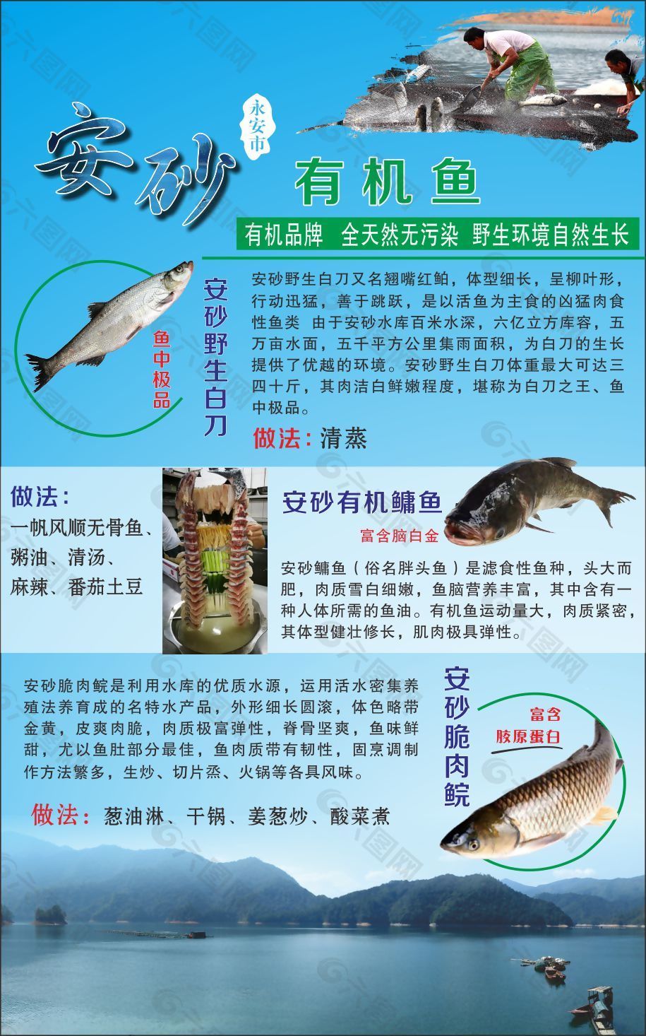 安砂有機魚展板