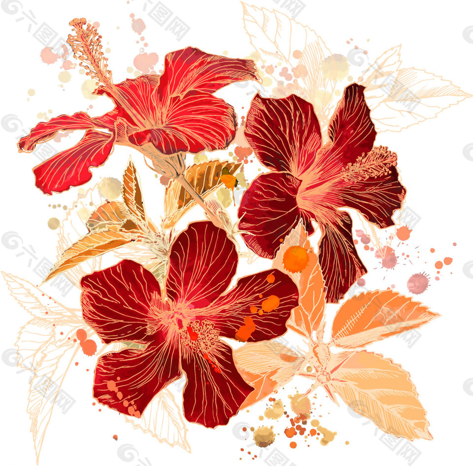 精美花卉矢量素材