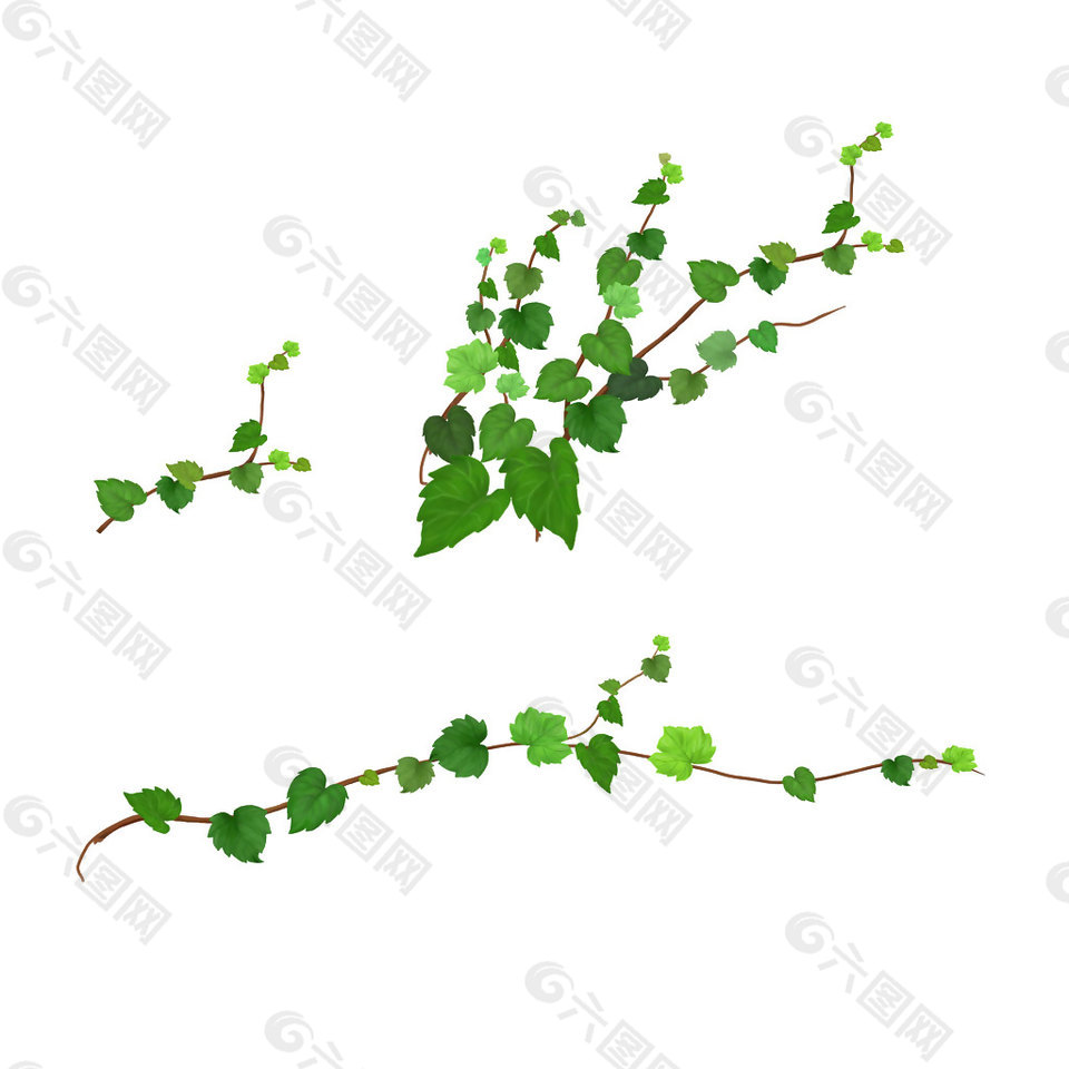 綠色爬山虎png元素素材