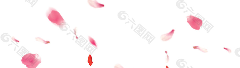 手繪浪漫花瓣元素