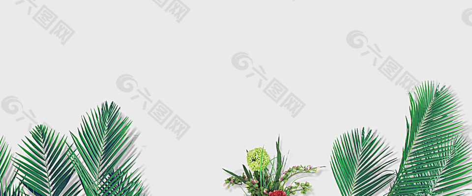清新綠色植物banner背景素材