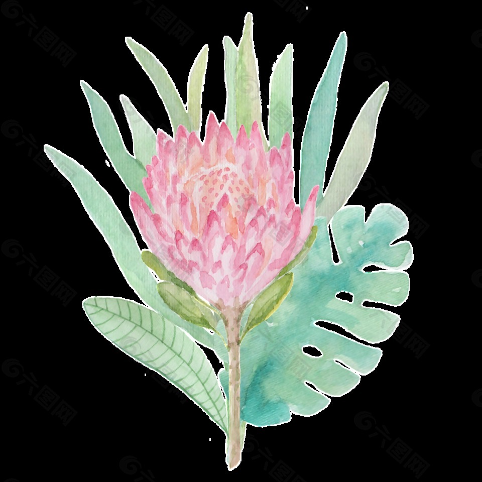 鮮花透明裝飾圖案