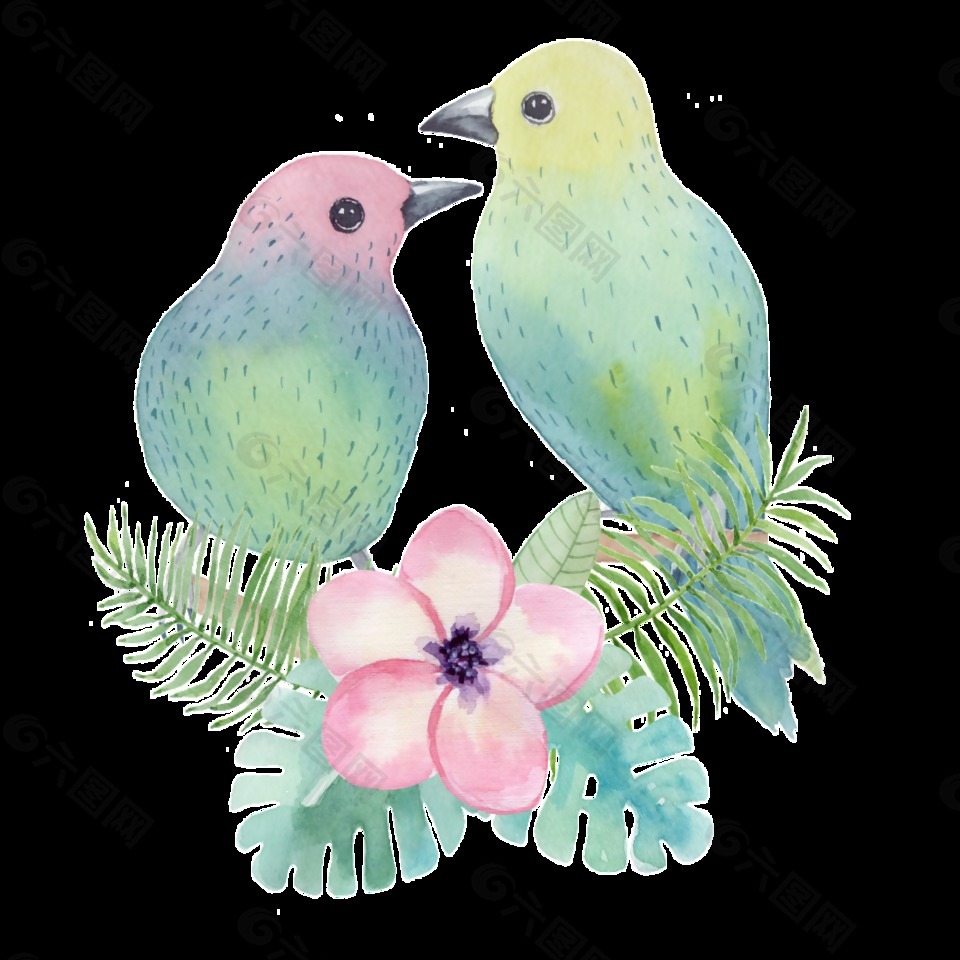卡通鳥透明裝飾圖案