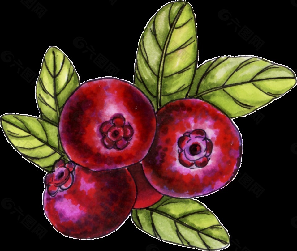 紅色山楂透明裝飾圖案