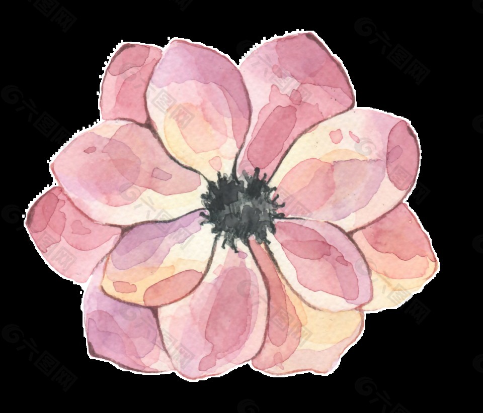粉色鮮花透明裝飾圖案