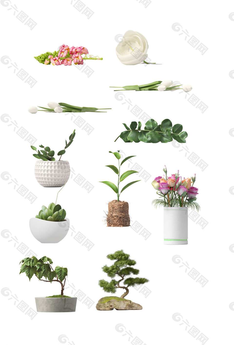 小清新花盆綠植元素