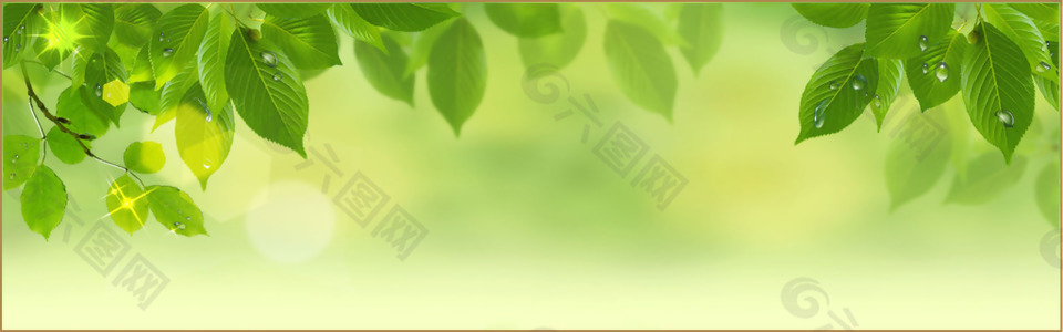 清新綠色樹葉banner背景素材