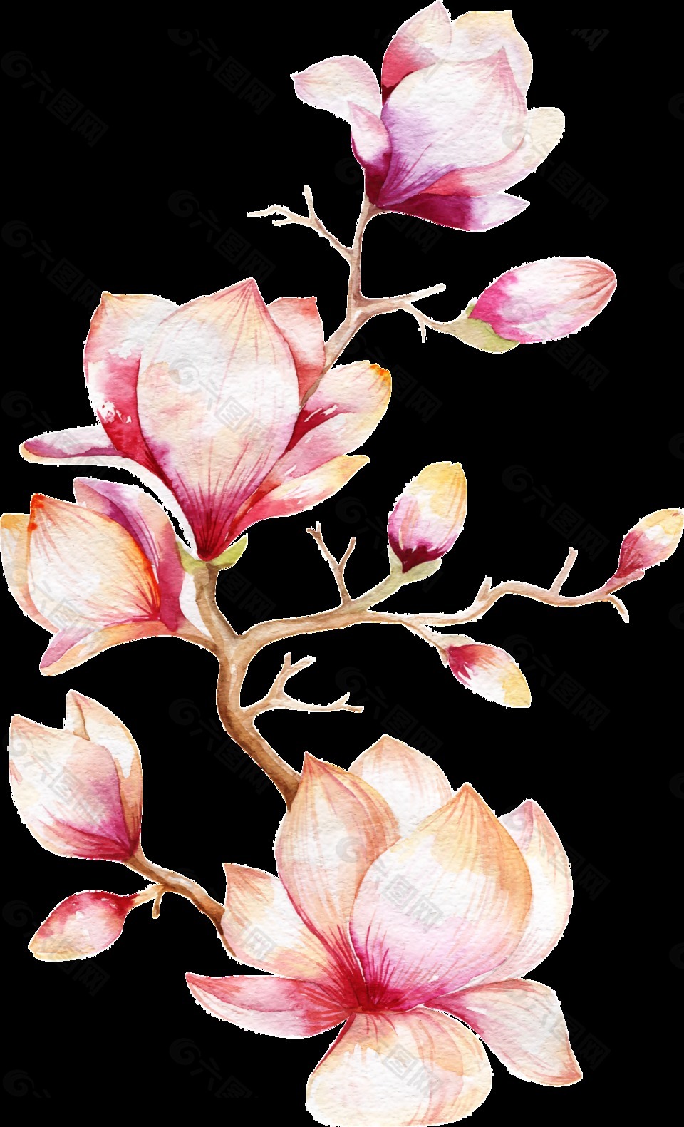 粉色桃花卡通透明素材