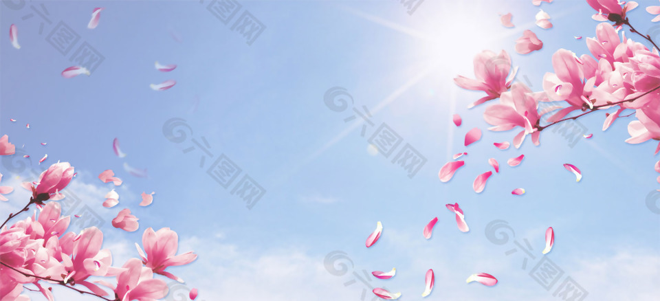 清新粉色花朵banner背景素材