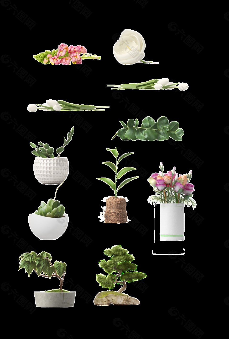 各種植物盤栽png透明素材
