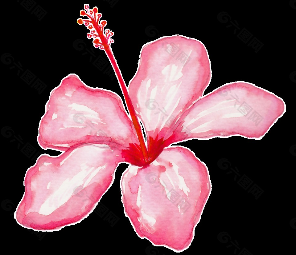 桃心花瓣卡通透明素材