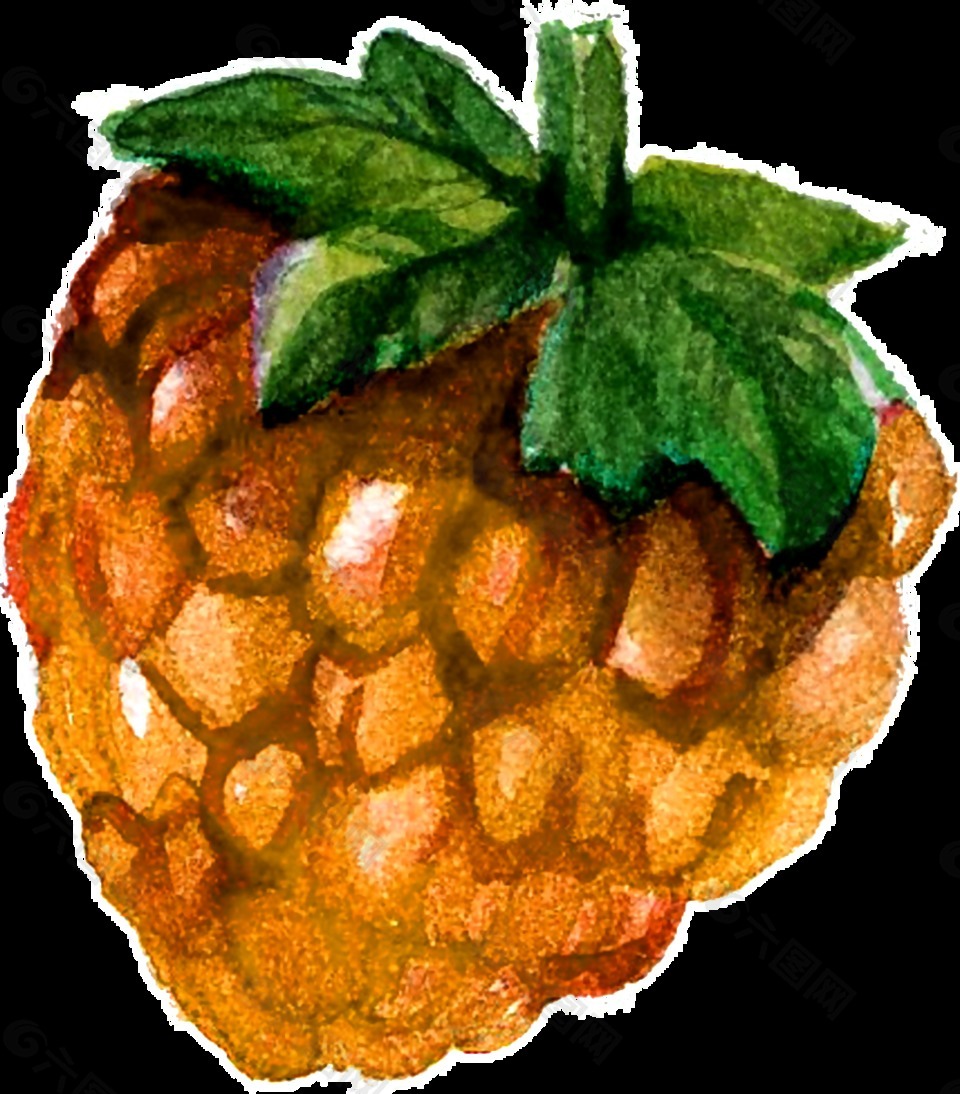 蜂蜜松果卡通透明裝飾素材