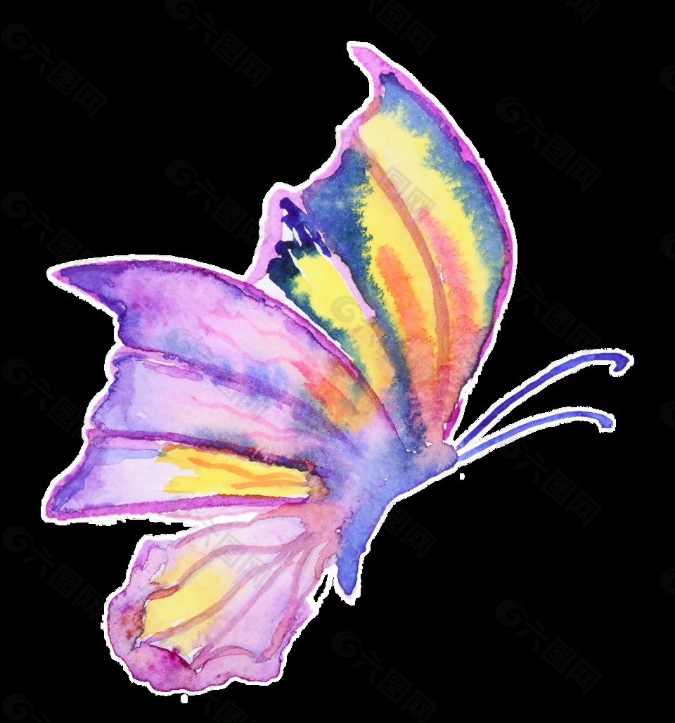 幻彩蝴蝶卡通透明裝飾素材