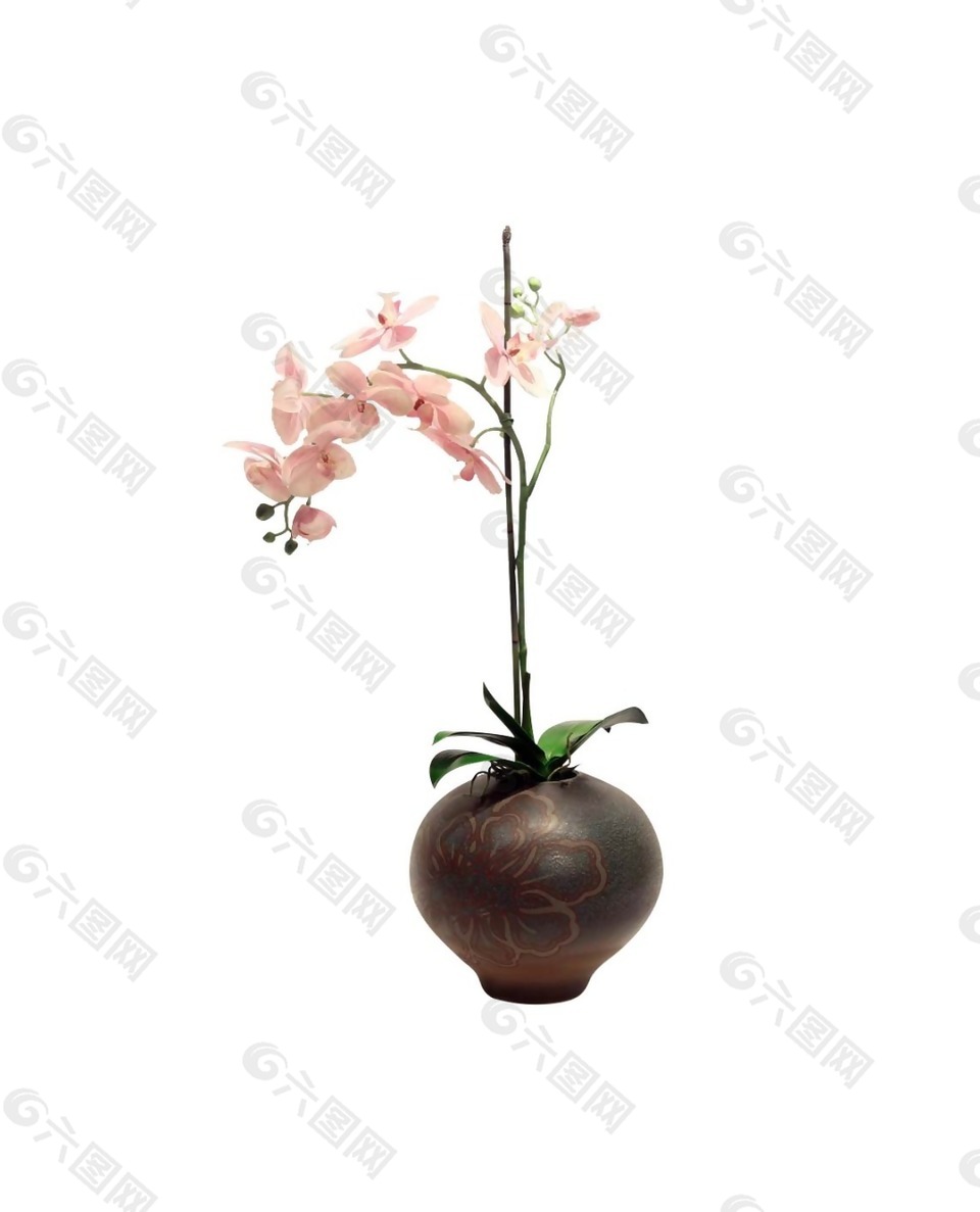 簡約陶器花朵元素