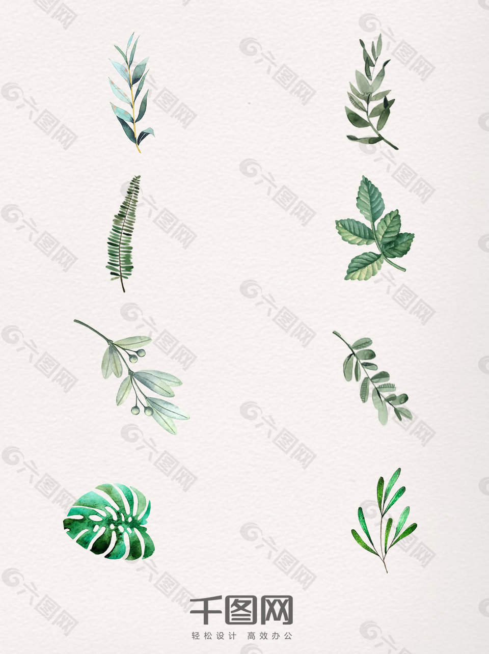 8款水彩植物樹(shù)葉素材