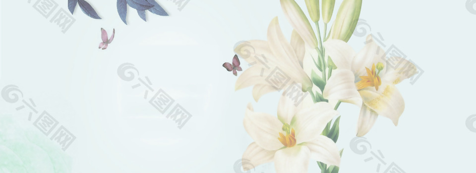 清新白色花朵banner背景素材