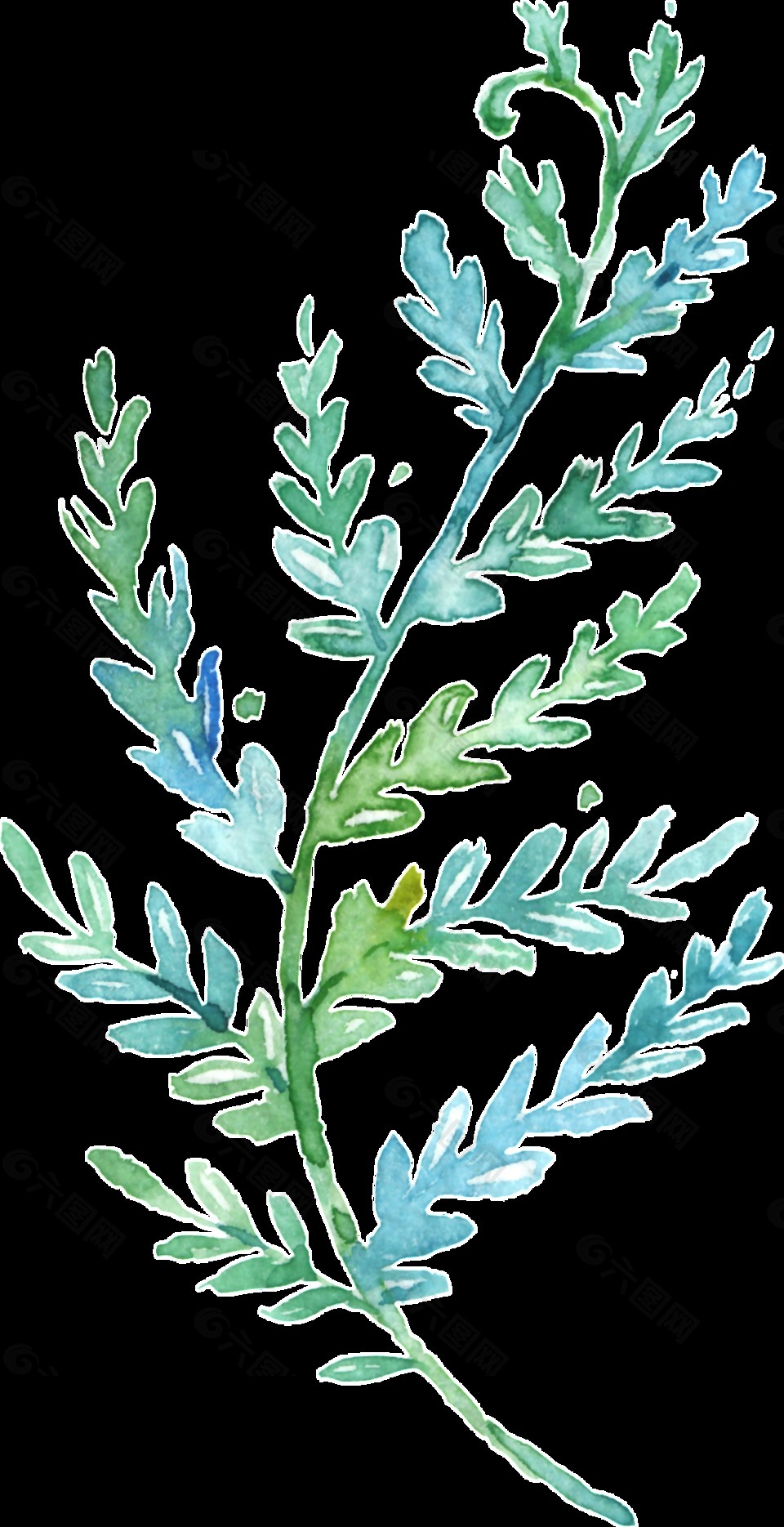 植物生長(zhǎng)卡通水彩透明素材