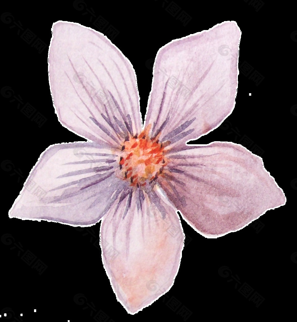 枝條花瓣卡通水彩透明素材