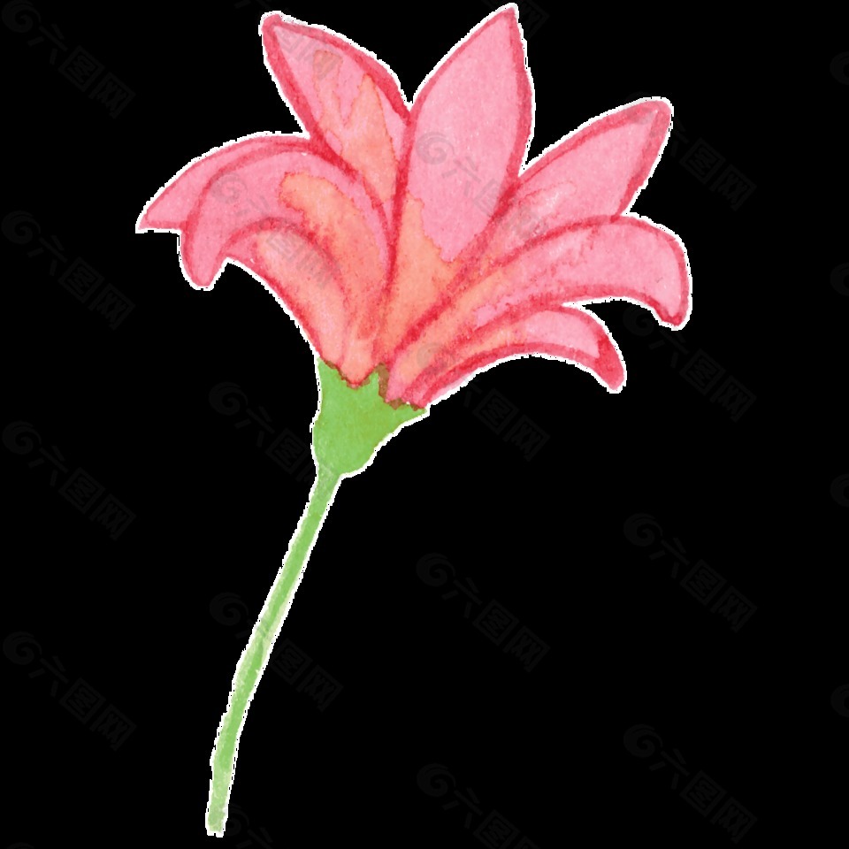 紅邊花葉卡通透明素材