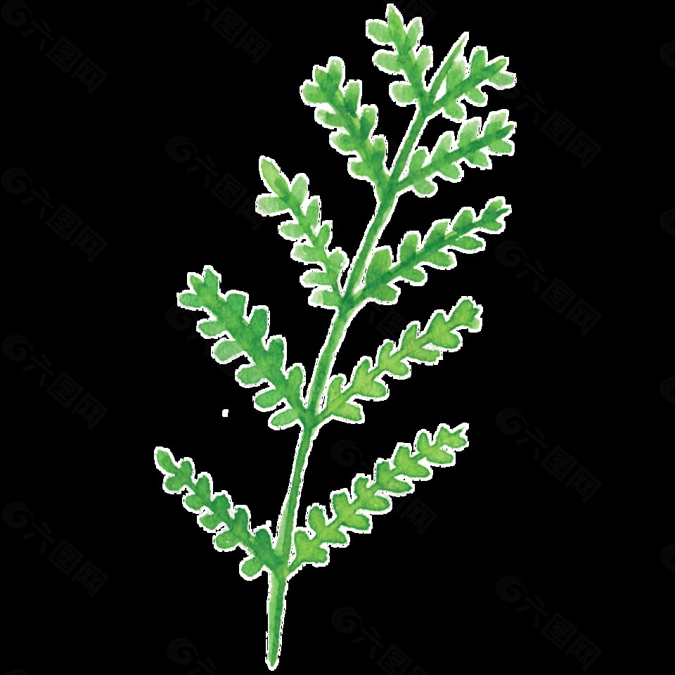 綠白花葉卡通透明素材