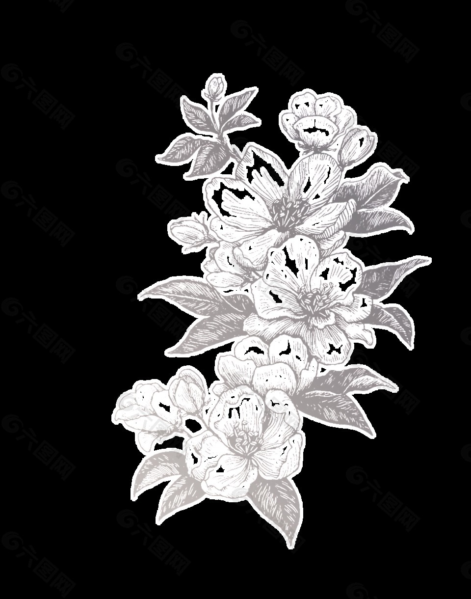 简笔画植物卡通透明素材