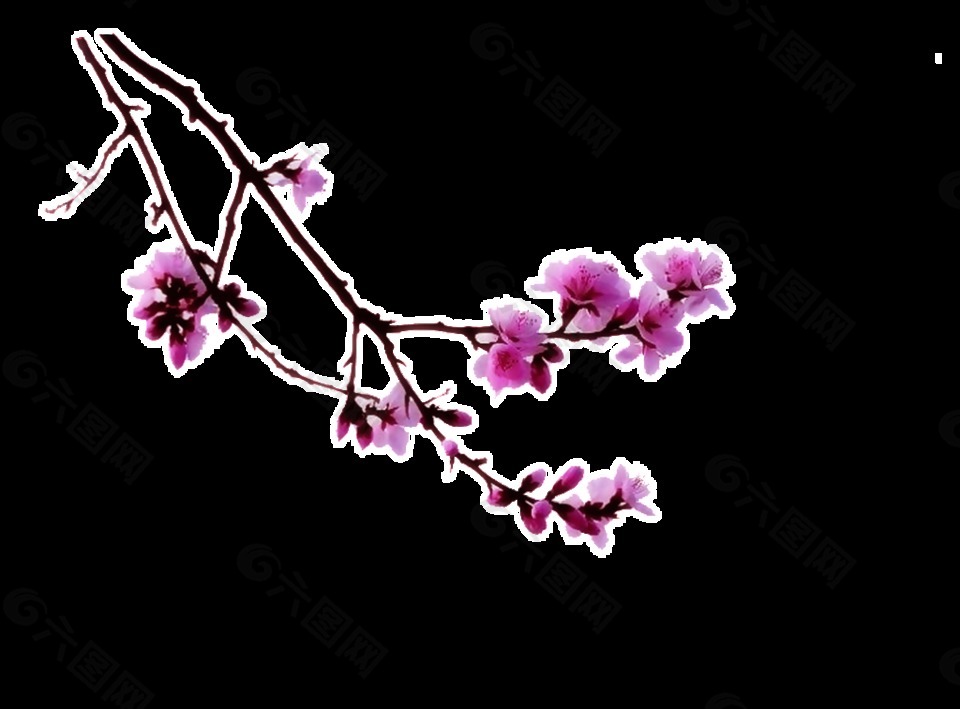 紫色優(yōu)美花卉透明素材