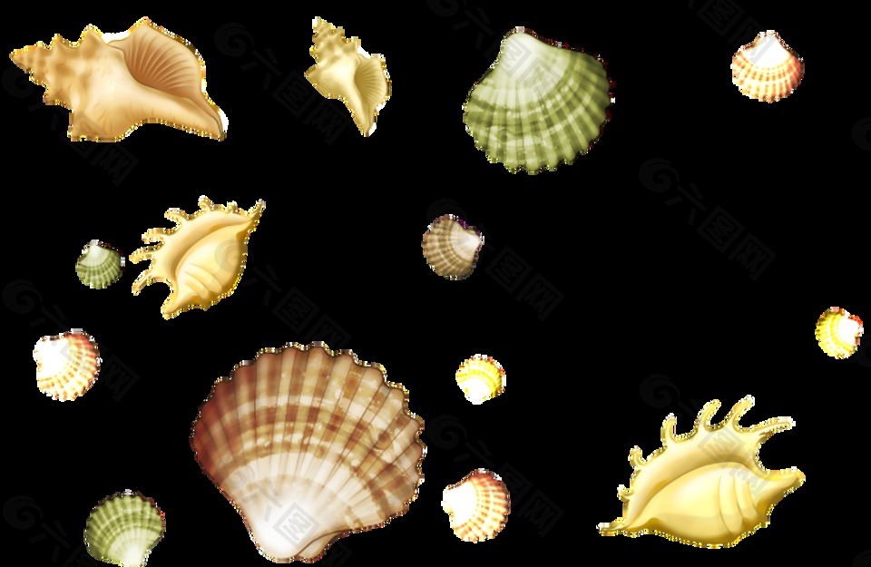 海洋貝殼透明素材