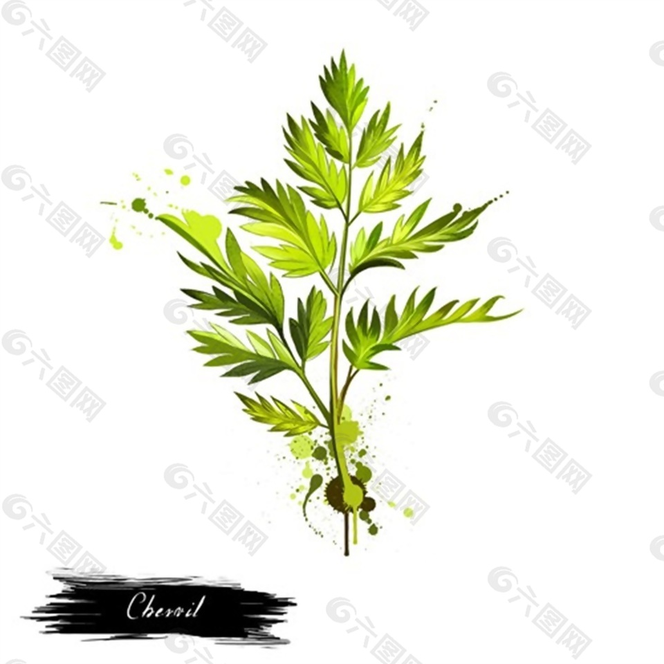 手繪一株草psd源文件