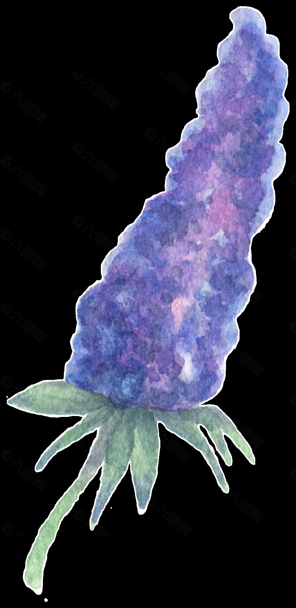 水分葡萄透明装饰素材