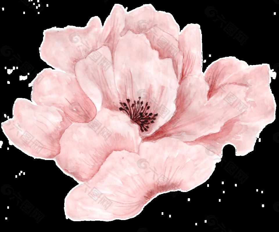 粉嫩花瓣透明裝飾素材