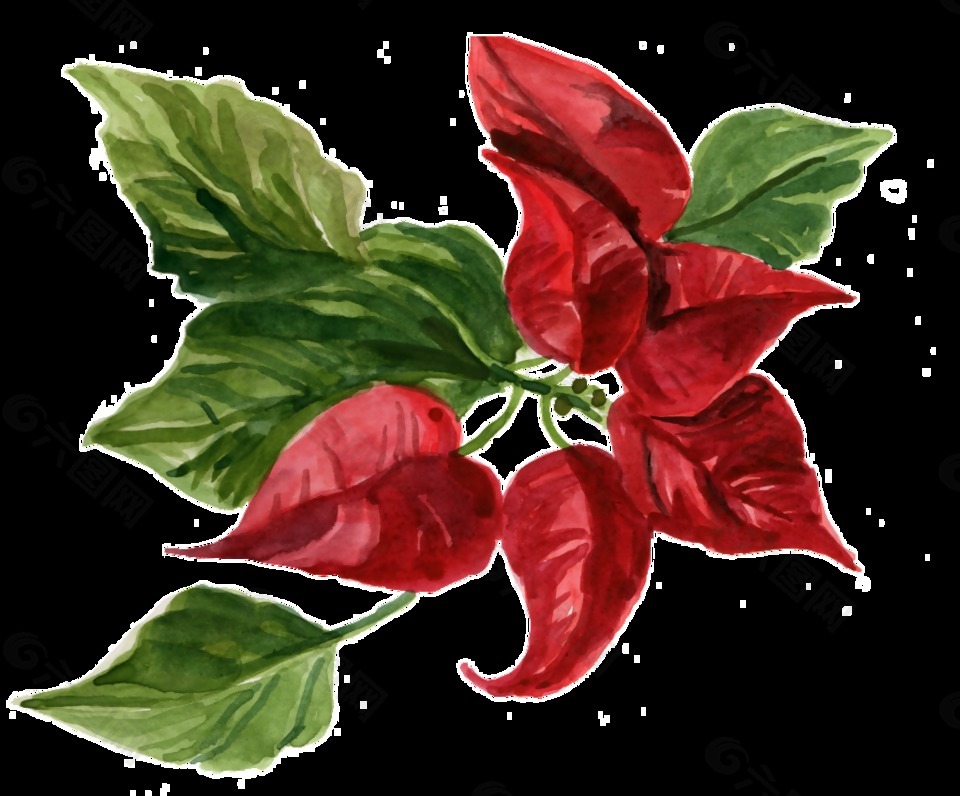 血紅花蕊透明裝飾素材
