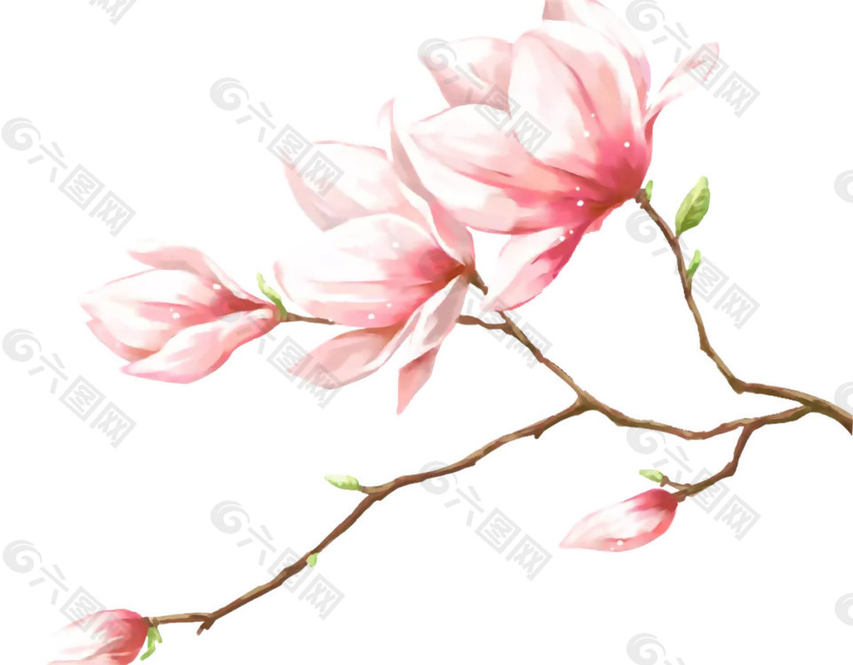 粉色花枝图案元素