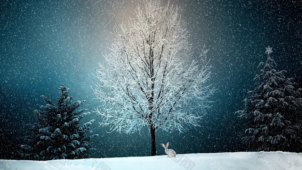 雪夜冬天