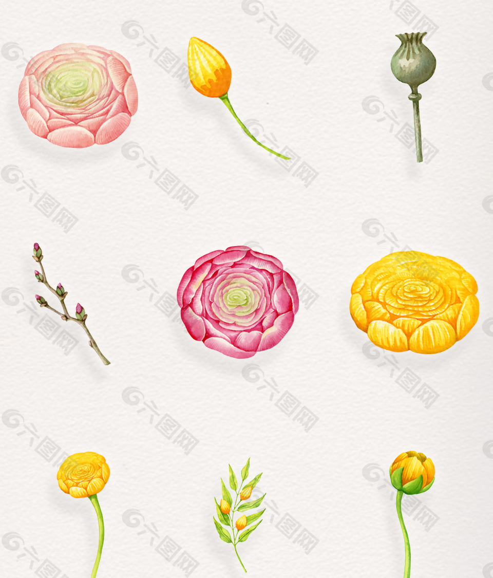水嫩彩色花蕾卡通裝飾素材透明高清合集