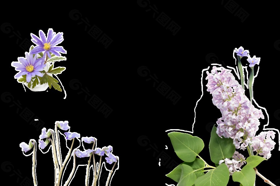 創(chuàng)意花卉圖畫透明裝飾素材