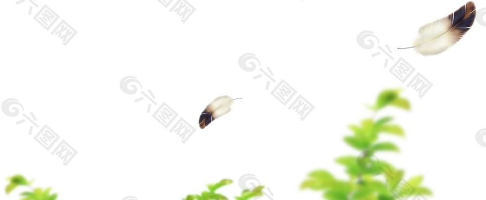 清新羽毛漂浮素材PNG元素