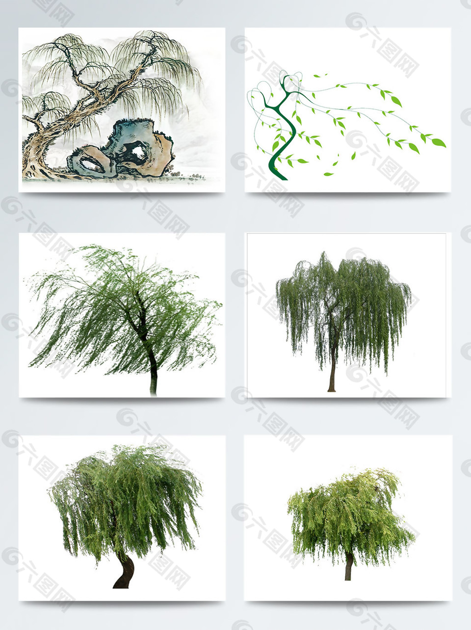 手繪柳樹元素圖案集合