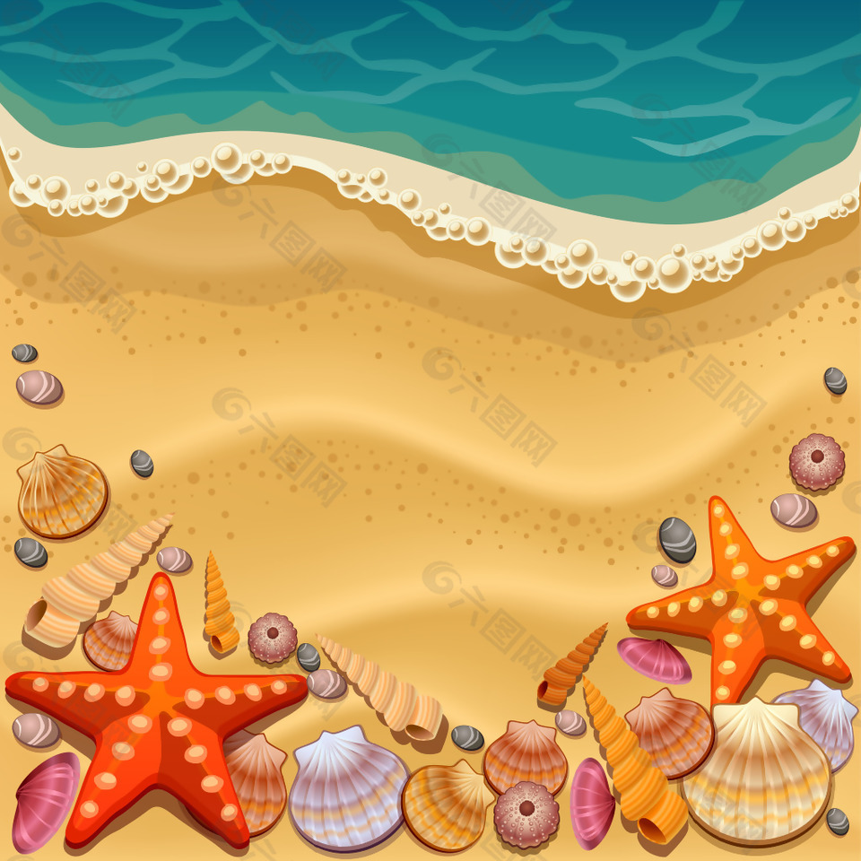 大海沙灘和貝殼插畫