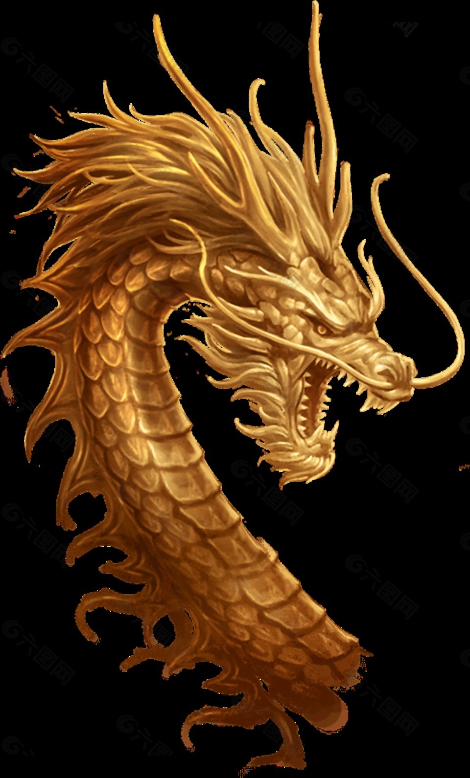 威龍透明裝飾素材