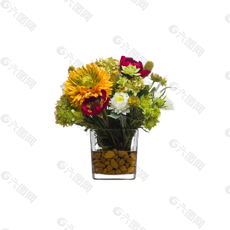 清新菊花花朵花束實(shí)物元素