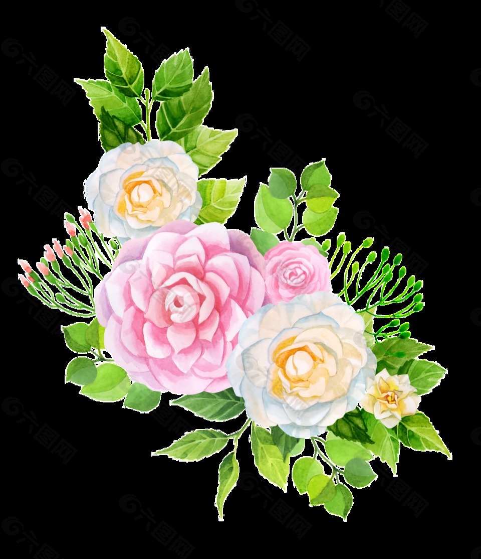 彩绘牡丹花PNG透明素材