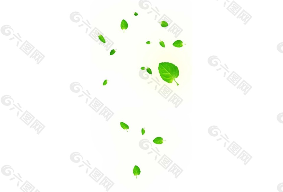 清新绿色树叶漂浮png元素