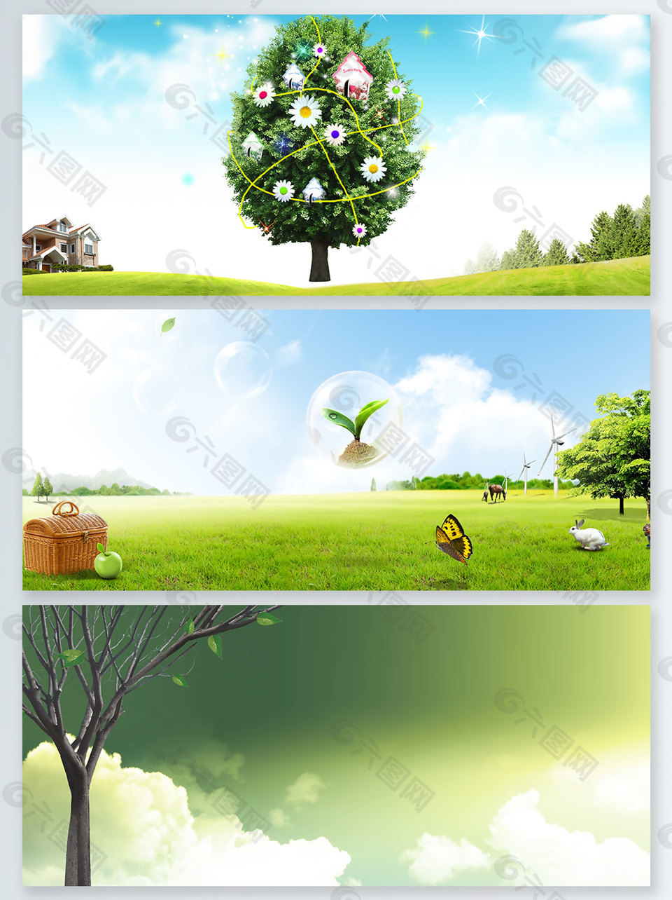 大自然樹(shù)枝發(fā)芽幼苗發(fā)芽展板背景