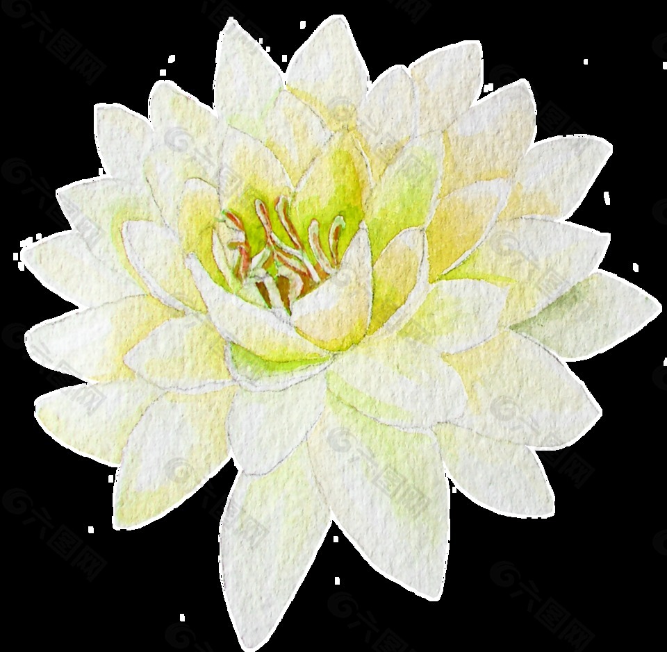 手繪一朵荷花透明素材png
