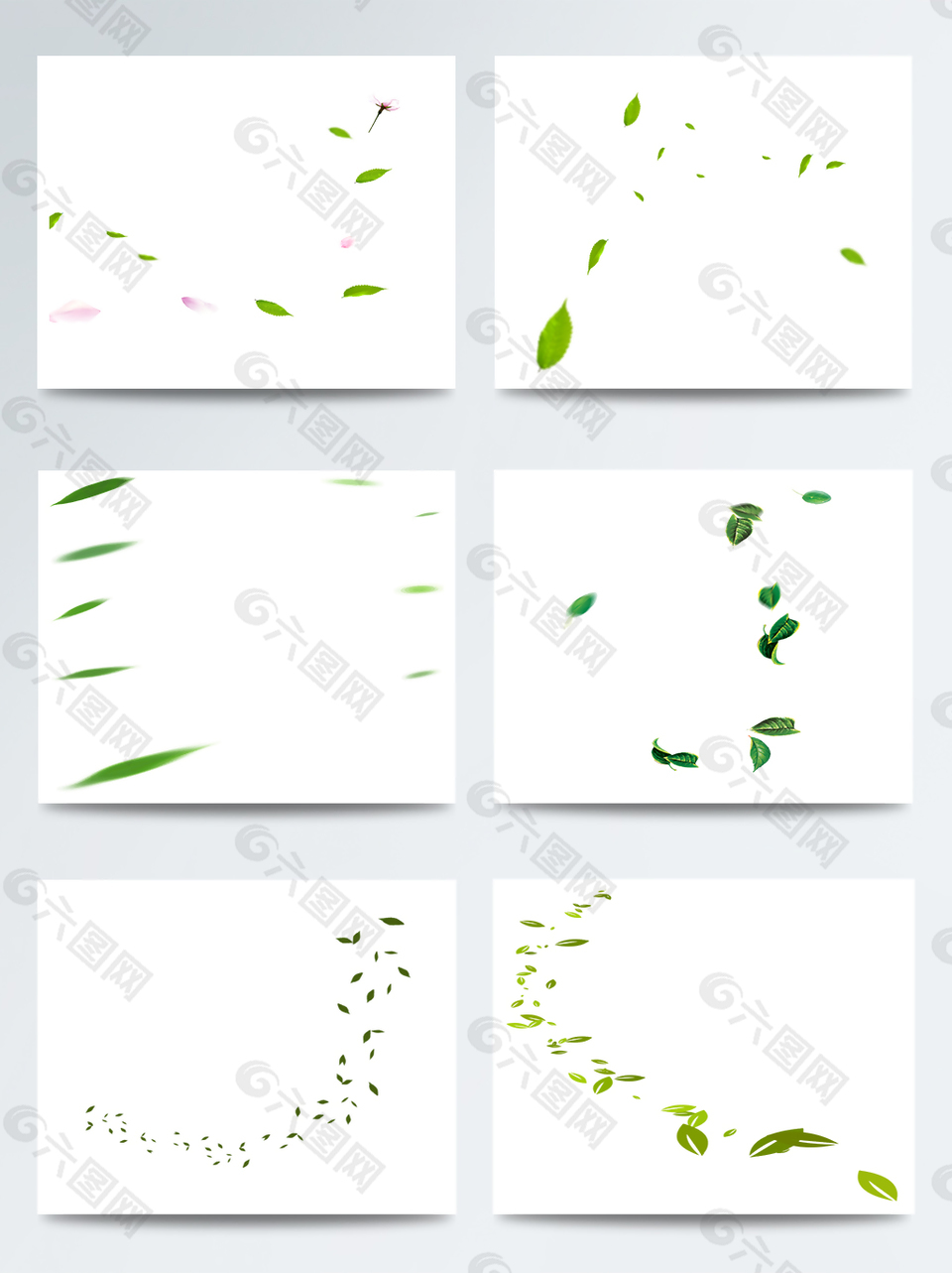 不規(guī)則綠葉組合排列