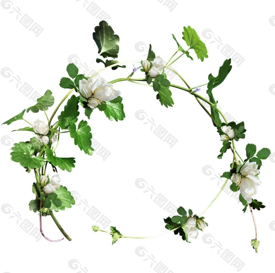 綠色葉子花朵png元素